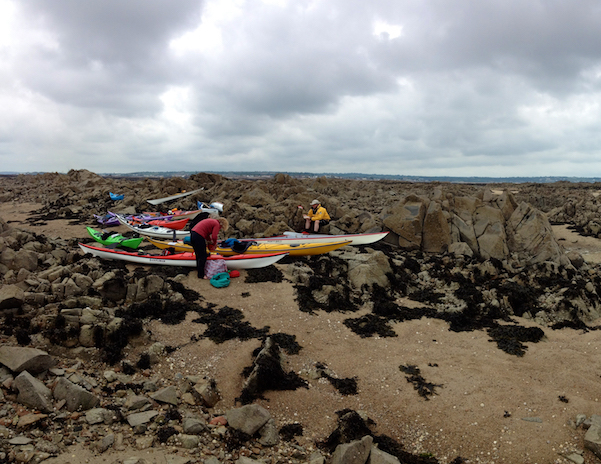 Low tide Jersey