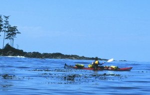 kayaking