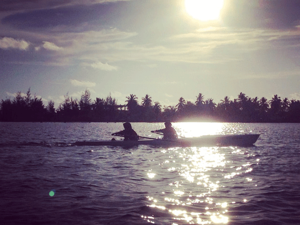 Imogen Walsh rowing programme